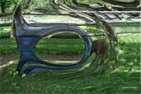 girl with baby donkeys, mildly distorted